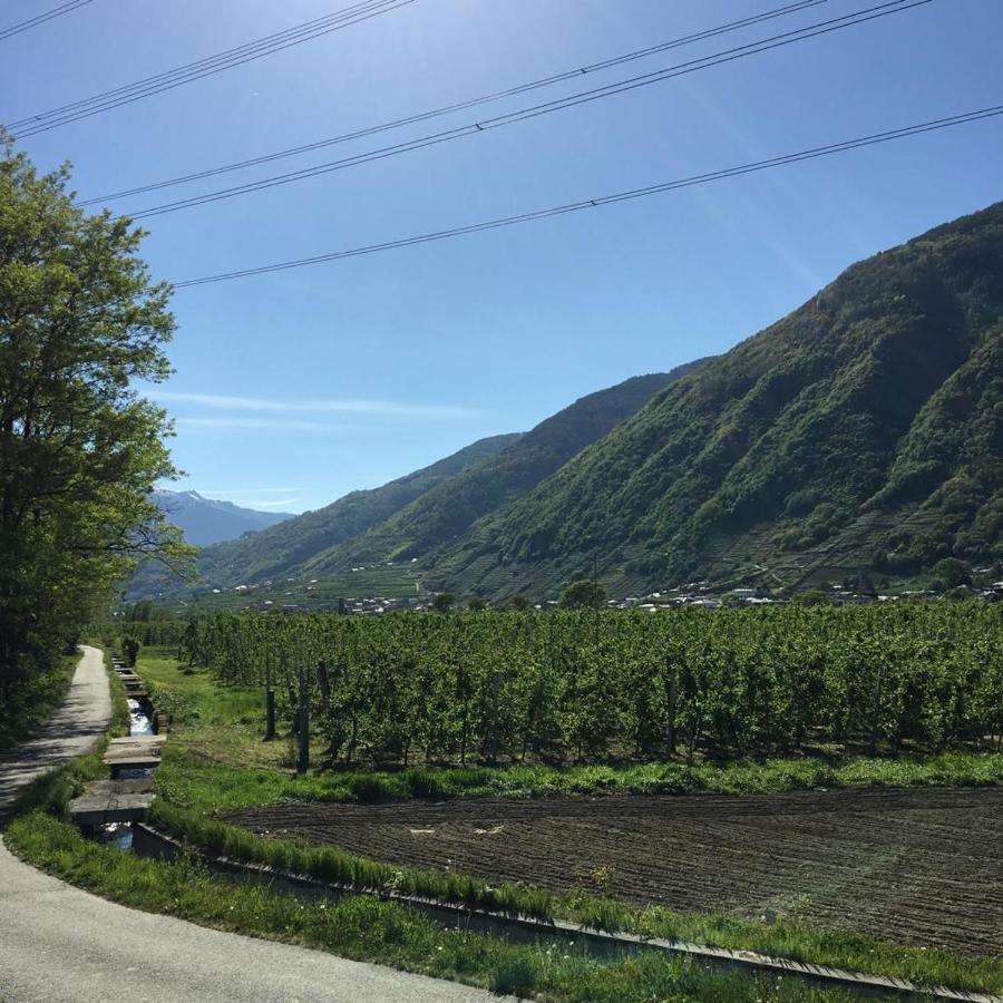 - Residenza Elvezia * Tirano